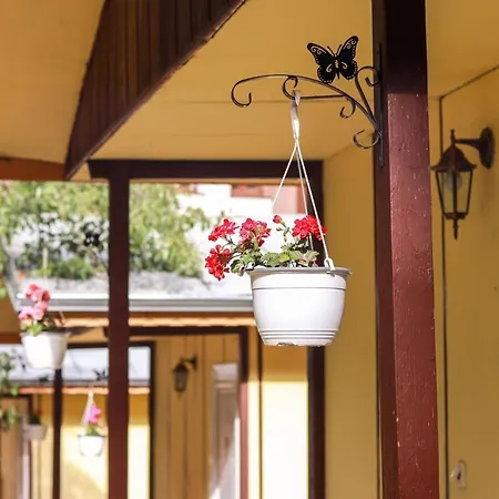 Cosy Bungalow In A Lovely Village